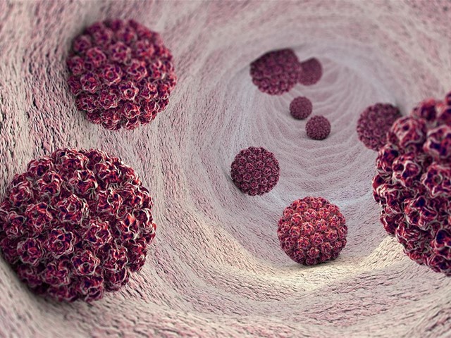 ¿Qué debemos saber sobre el Virus del Papiloma Humano?