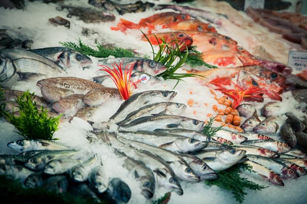 Pescado y mariscos